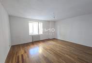 Zentrale Lage: SINGEL-WOHNUNG- Nahe der TU - Schießstattgasse 4 - Top 09