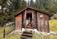 Idyllische Almhütte in ruhiger Lage in der Steiermark