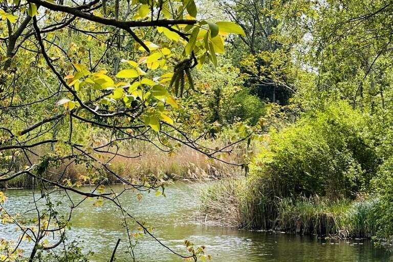 Wunderschöner Eigengrund - direkt am Mühlwasser - ganzjährig wohnen - 1220 Wien, Grund und Boden-kauf, 450.000,€, 1220 Wien 22., Donaustadt