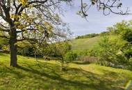 Einzellagenjuwel - 2.500m2 Grundstück zwischen den Weinreben am Nußberg