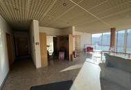 Großzügige Gewerbefläche in absoluter Toplage von Perchtoldsdorf