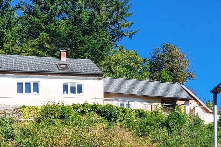 HISTORISCHER CHARME: BURGIDYLL - MODERNES DACH MIT ALTEN MAUERN IN MALERISCHER LANDSCHAFT, Haus-kauf, 38.000,€, 3830 Waidhofen an der Thaya
