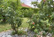 Grundstück mit kleinem Haus in Mitterndorf an der Fischa – Ihr Garten Nahe Wien!