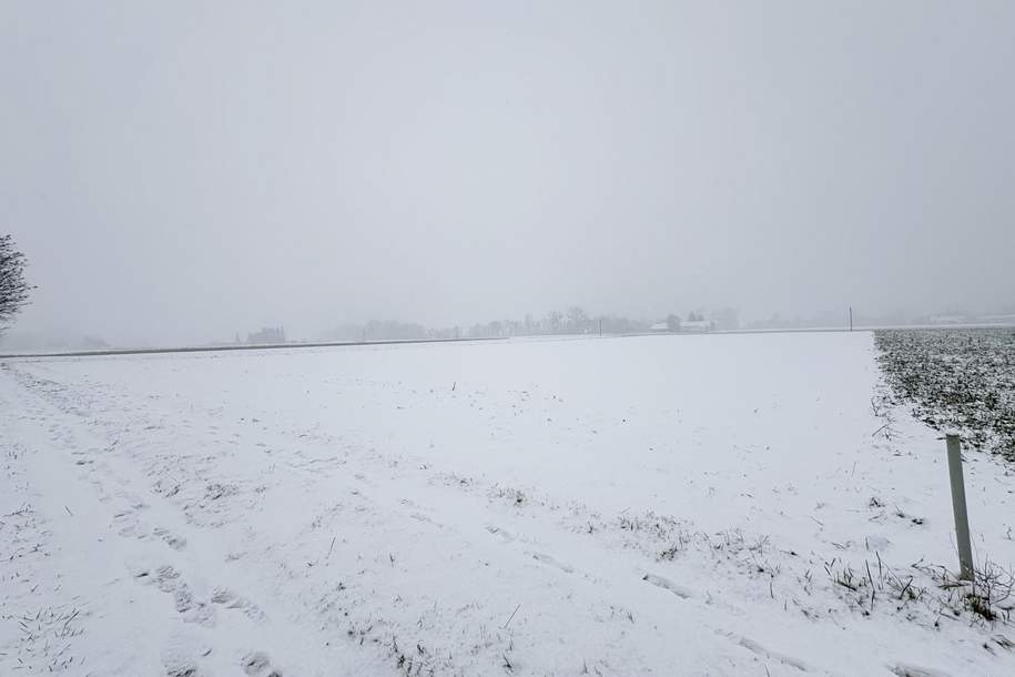 1,5 ha Landwirtschaftlicher Nutzgrund/Acker Gstocket, Grund und Boden-kauf, 300.000,€, 4072 Eferding