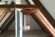 Luxus-Maisonette in der Grünen Steiermark