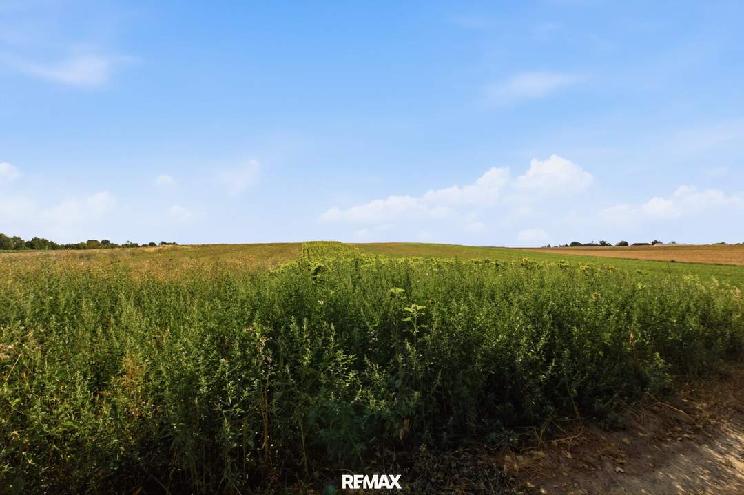 Landwirtschaftliche Fläche mit 6709 m² in Höbersdorf zu verkaufen!