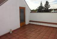 Arbeiten und wohnen in einen Haus mit Halle in ruhiger Wohnlage in Rust am See !