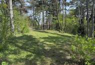 CHRISTOPH CHROMECEK IMMOBILIEN - PERCHTOLDSDORF - EXKLUSIVES BUNGALOW-JUWEL IN TOPLAGE!