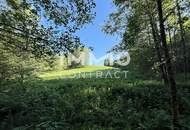 Erholung pur im eigenen Wald mit Bach und Wiese