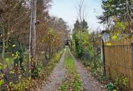 Kleingarten in Ober St. Veit zwischen Hörndlwald und Lainzer Tiergarten