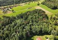 Zum Verkauf steht ein zusammenhängendes Landwirtschafts- und Waldgrundstück mit Holzhaus