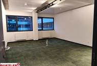 Das myhive Urban Garden Bürokonzept – Ein "Detox-Programm" für den Arbeitsalltag