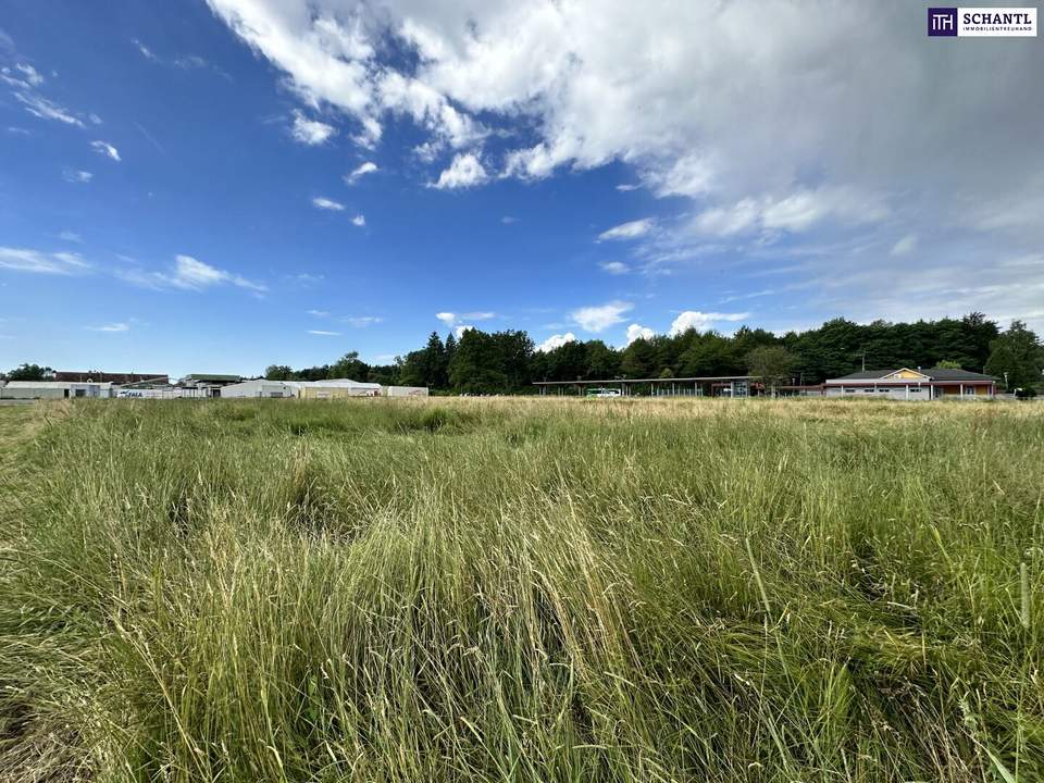 Erstklassiges Gewerbegrundstück mit ausgezeichneter Anbindung an die A2: Vielseitiges Grundstück mit enormem Potenzial und flexibler Widmung (GG 0,2 – 0,8) – Ihre Chance für erfolgreiches Wachstum