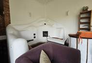 Traumhaftes ehemaliges Winzerhaus in Traiskirchen: 460m² Luxus - großzügiges Leben und Arbeiten unter einem Dach!