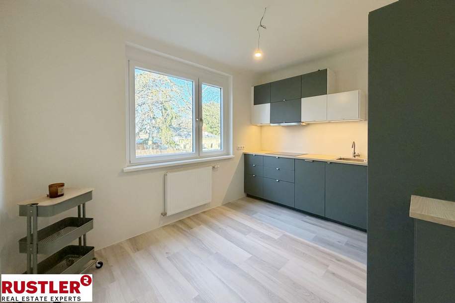 neu sanierte 2 Zimmerwohnung in Zentrumsnähe, Wohnung-miete, 943,04,€, 2340 Mödling