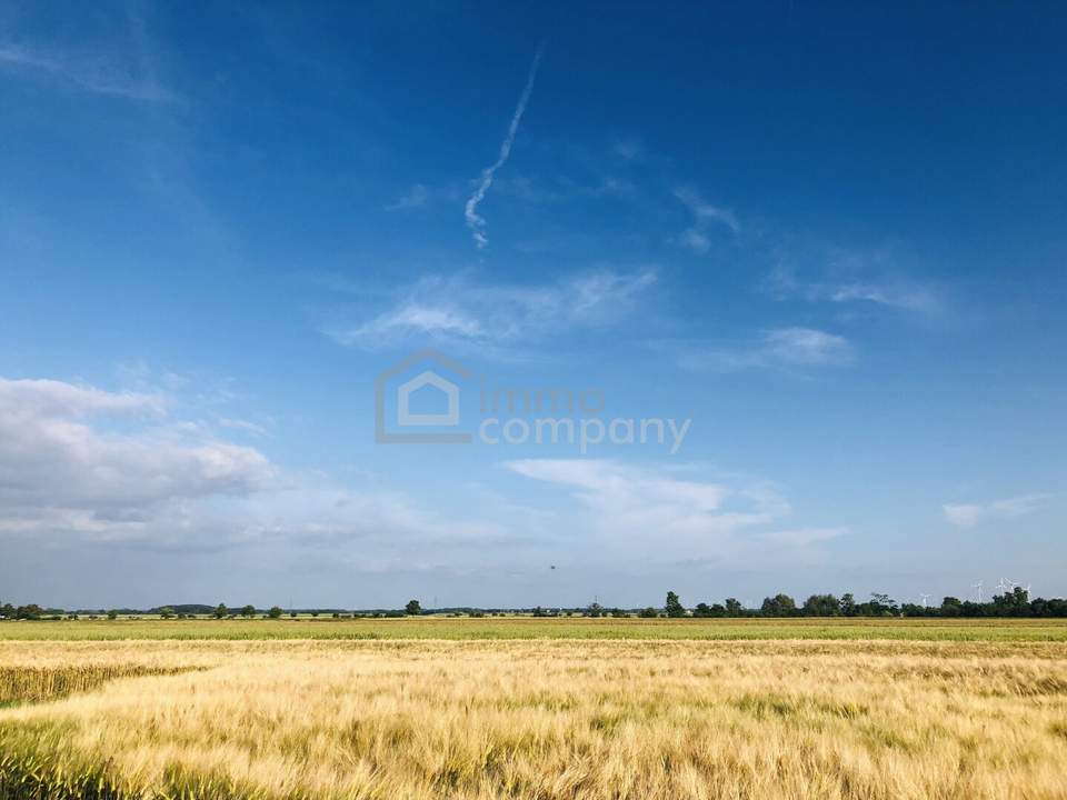 Achtung Preissenkung ! Landwirtschaftliche Nutzfläche