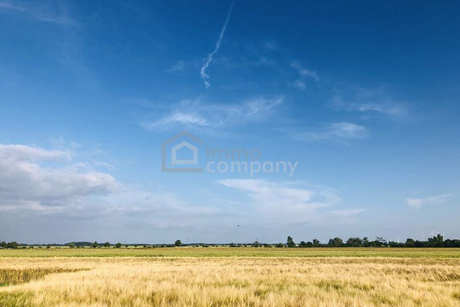 Achtung Preissenkung ! Landwirtschaftliche Nutzfläche, Grund und Boden-kauf, 98.000,€, 2422 Neusiedl am See