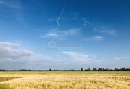 Achtung Preissenkung ! Landwirtschaftliche Nutzfläche