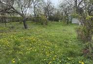 "Meine Kleingartenoase in Korneuburg"