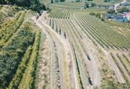 WEINGARTEN IN AUSSICHTSLAGE IM WEINBAUGEBIET WACHAU - WEINGARTEN, LANDWIRTSCHAFTLICHE FLÄCHEN - GRUNDSTÜCK IN DER WACHAU - KEIN BAUGRUNDSTÜCK!