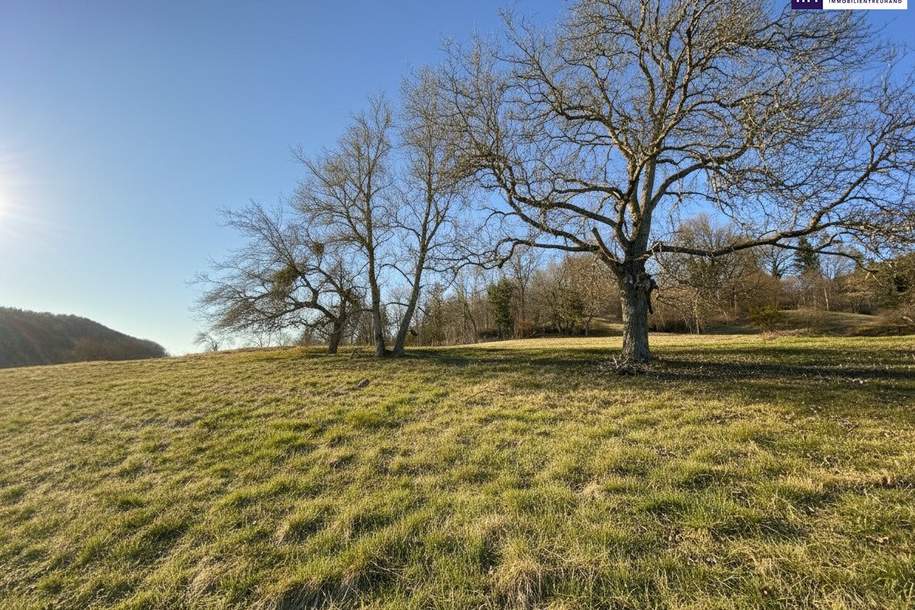 7 Parzellen verfügbar - Tolles Baugrundstück am Sonnenhang in Prenning bei Deutschfeistritz – 3.700 m², aufteilbar in 7 Parzellen, Grund und Boden-kauf, 68.000,€, 8121 Graz-Umgebung
