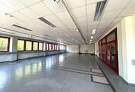 EG Showroom mitten im Industriezentrum unweit von Inzersdorf zu mieten