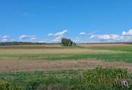 Familienhit –belagsfertige Doppelhaushälfte in schöner Lage