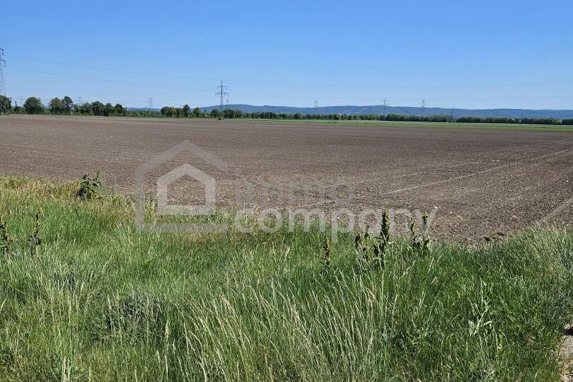 Ackerland in Bestlage – 4,97 Hektar wertvoller Ackerboden mit optimaler Grundstücksform in Margarethen am Moos, Grund und Boden-kauf, 1.490.910,€, 2433 Bruck an der Leitha