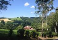 Gartenwohnung 7 Zimmer mit Pool im Apfelgarten - - 5 bedroom apartment 15 km from Vienna