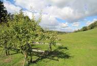 RARITÄT - Einfamilienhaus im Sacherl-Stil inmitten der Mühlviertler Natur - Selbstversorgung möglich