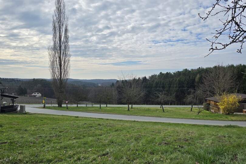 Großes Grundstück mit Weinpflanzkontingent, Grund und Boden-kauf, 75.000,€, 8224 Hartberg-Fürstenfeld