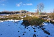 LIEGENSCHAFT FÜR PERDE- UND NATURLIEBHABER 30 Minuten von Wien