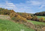Sonniges Grundstück in Eltendorf Südburgenland – Ruhe und Natur genießen. Landwirtschaftliche Grünfläche