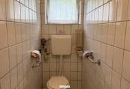 Sanierungdürftiges Einfamilienhaus mit Gewölbekeller und großem Potenzial in Kohfidisch