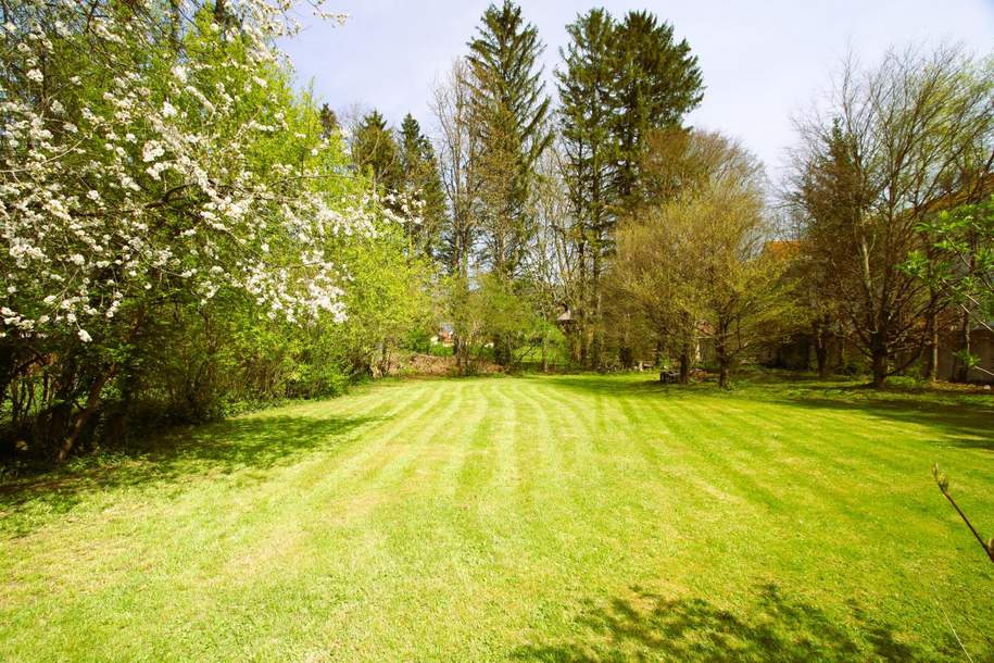 Ca. 1000m² BAUGRUND IM VIELFÄLTIG SCHÖNEN WIENERWALD-ORT GAADEN BEI MÖDLING, Grund und Boden-kauf, 550.000,€, 2531 Mödling