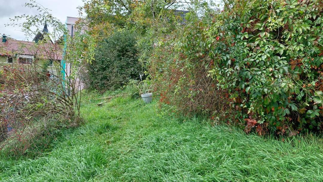 Genug Platz für Ihr Traumhaus!