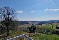 Entzückendes Haus mit Naturbadeteich, Sauna, Jacuzzi in ruhiger idylischer Lage am Güssinger Hügelland mit Traumaussicht