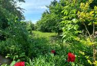 Großzügiges Reihenhaus im Grünen: Wohnen am Kupferbrunnberg