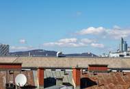 Dachterrassenwohnung Reichsbrücke-Alte Donau-UNO-City