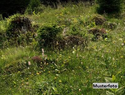 +++ Unbebaute Liegenschaft mit Waldflächen +++