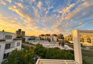 3 Terrassen - 4 Zimmer - dein Platz über Wien