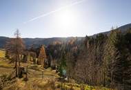 "Panoramaheim" - Einfamilienhaus in Mühlbach am Hochkönig!