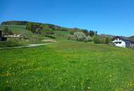 SMARTER BUNGALOW IN RUHIGER, SONNIGER LAGE!