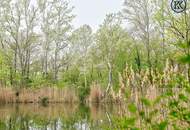 '" Nähe Müllwasser und der Lobau."