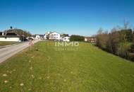 Großes Grundstück mit verschiedenen Nutzungsmöglichkeiten