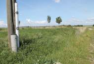 Betriebsgrund in 2003 Leitzersdorf