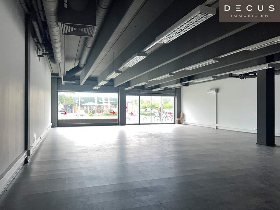 GESCHÄFTS- UND BÜROFLÄCHEN WIENER NEUSTADT