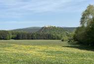 Wohnen im Wanderparadies- Günstige Zwei-Dreizimmerwohnung