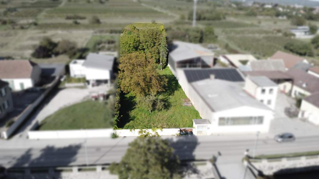 Ihr Baugrundstück in sonniger Lage von Langenlois -– ideale Basis für Ihr Traumhaus oder Bauprojekt