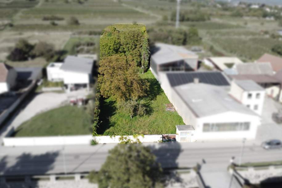 Ihr Baugrundstück in sonniger Lage von Langenlois -– ideale Basis für Ihr Traumhaus oder Bauprojekt, Grund und Boden-kauf, 227.000,€, 3550 Krems(Land)